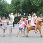 zdjęcie nr 108