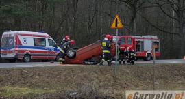 zdjęcie nr 7