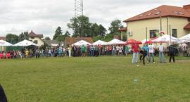zdjęcie nr 13
