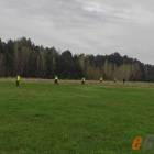 zdjęcie nr 7