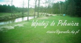 zdjęcie nr 12