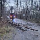 zdjęcie nr 8