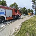Fotka nr 1 z 7