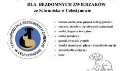 Fotka nr 2 z 3