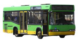 Fotka nr 1 z 2