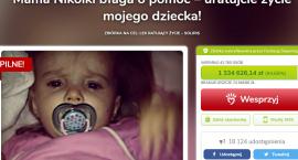 Fotka nr 2 z 3
