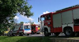 Fotka nr 2 z 12