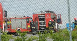Fotka nr 1 z 14