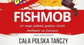 Fotka nr 1 z 2