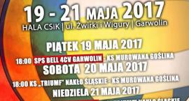 Fotka nr 1 z 2