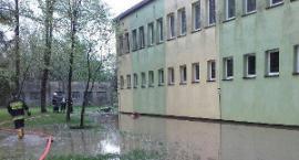Fotka nr 1 z 19