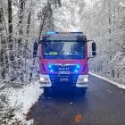 Fotka nr 2 z 4