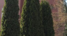 Fotka nr 1 z 11