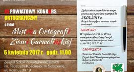 Fotka nr 1 z 2