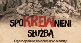 Fotka nr 1 z 2