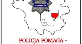 Fotka nr 1 z 2