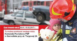Fotka nr 2 z 3