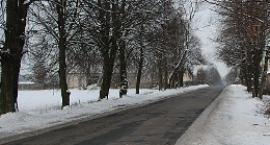 Fotka nr 1 z 16
