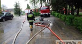 Fotka nr 2 z 19