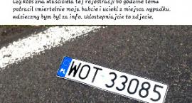 zdjęcie nr 9