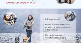 Fotka nr 2 z 4
