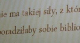 Fotka nr 3 z 44