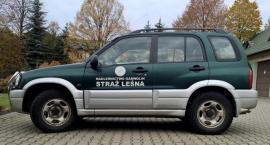 Fotka nr 2 z 3