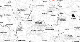 zdjęcie nr 8