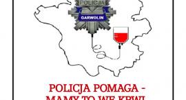 Fotka nr 1 z 2