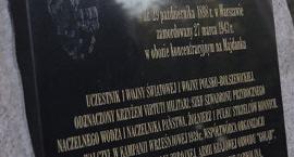 Fotka nr 3 z 26