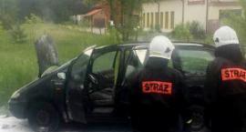 Fotka nr 1 z 2