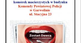 Fotka nr 1 z 2