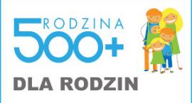 zdjęcie nr 9