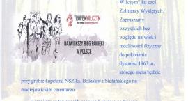 Fotka nr 1 z 2