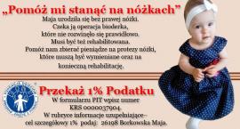 Fotka nr 3 z 4