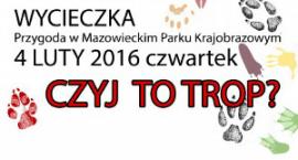 Fotka nr 0 z 2