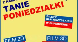 Fotka nr 1 z 2