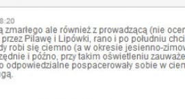 zdjęcie nr 8