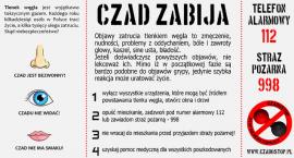 Fotka nr 1 z 3