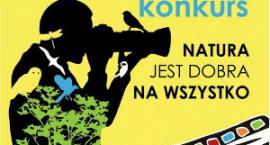 Fotka nr 0 z 2