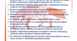 Fotka nr 1 z 2