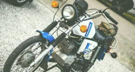 Fotka nr 2 z 33