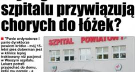 Fotka nr 2 z 3