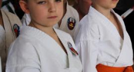 Fotka nr 1 z 136