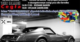 Fotka nr 1 z 2