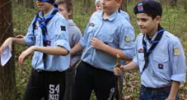 Fotka nr 2 z 26