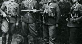 Fotka nr 4 z 11