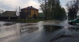 zdjęcie nr 15