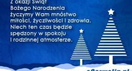 Fotka nr 1 z 2