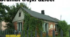 Fotka nr 0 z 2